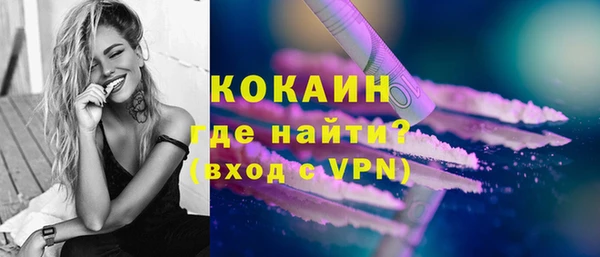 сатива Лабытнанги