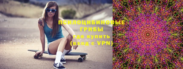 сатива Лабытнанги