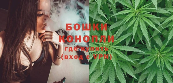 сатива Лабытнанги
