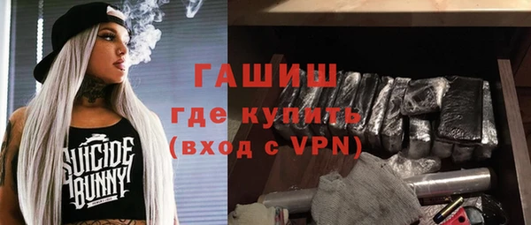 сатива Лабытнанги